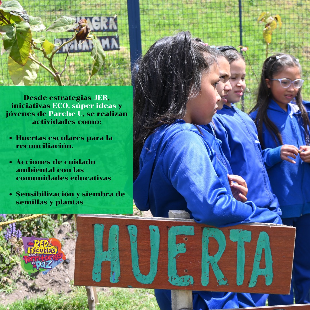 Deidamiapiensa's tweet image. Aprendiendo a cuidar la casa común @Educacionbogota
Escuelas como Territorios de Paz #RedEsPaz