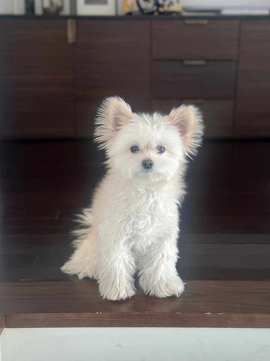 산신령(Lv.4)을 만났습니다. 
올해의 운세를 물어 보세요.