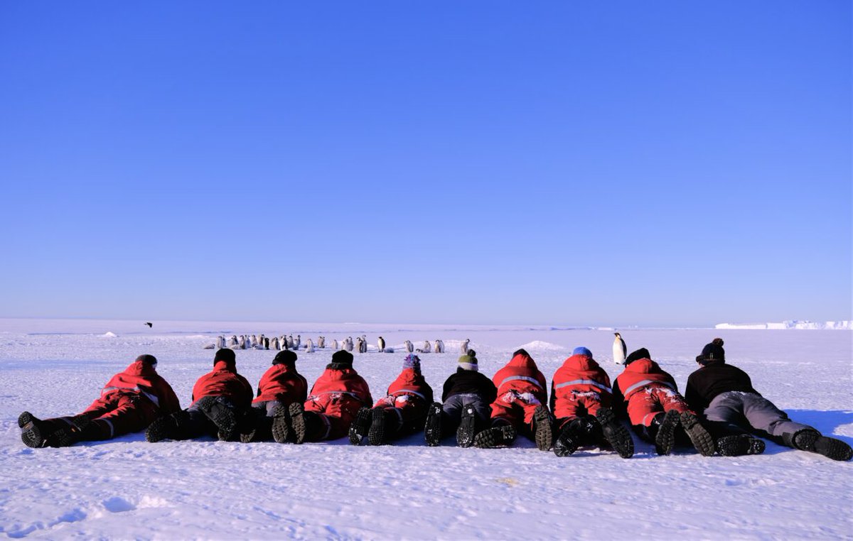 Schichtwechsel in der #Antarktis: Das "alte" Überwinterungsteam der #Neumayer-Station III veabschiedet sich und das neue Team steht bereits in den Startlöchern. 🐧 

blogs.helmholtz.de/atkaxpress/202…

📸Anja Weber
