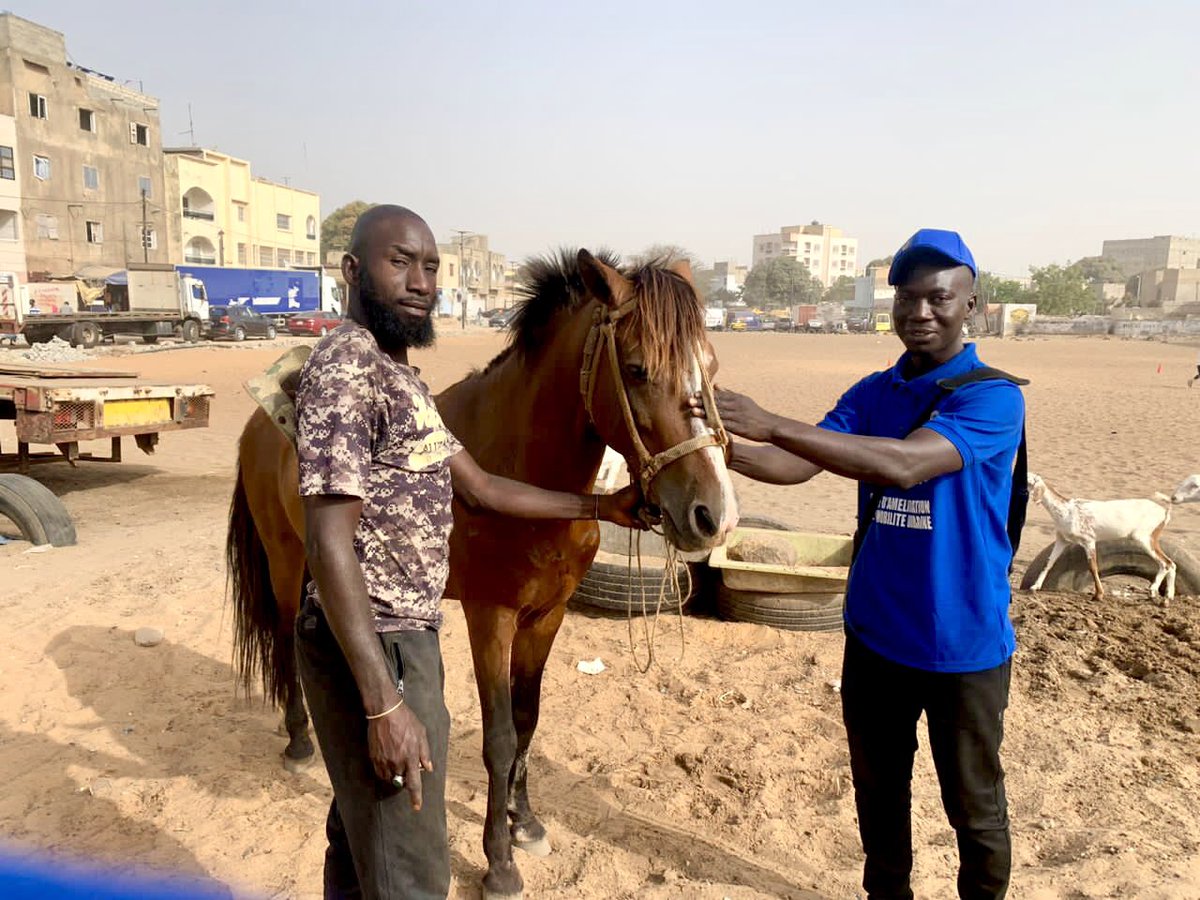 HumanHac's tweet photo. #Mobilité_Urbaine_Ville_De_Dakar  
#Coaching_Territorial 

J3 et J4 du déploiement de nos championnes et champions de la Ville de Dakar, à la rencontre des acteurs dans les 8 communes ciblées pour une étude sur l’amélioration de la mobilité urbaine.  

À suivre…
@UCLGAfrica https://t.co/O8H2j8Kd6A