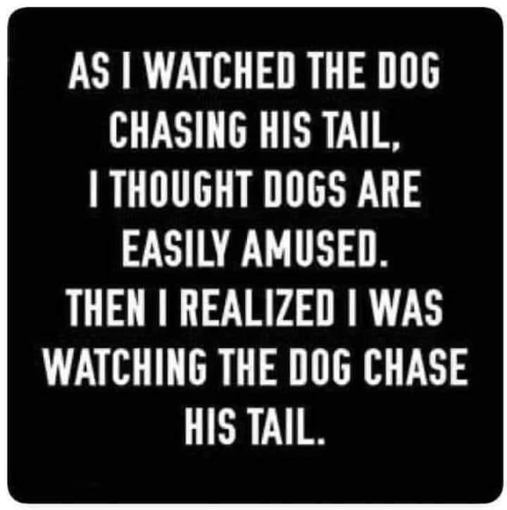 Well….guess we have a lot in common then 😂😂😂
#Doogsmind
#dogsofinstagram
#thinking