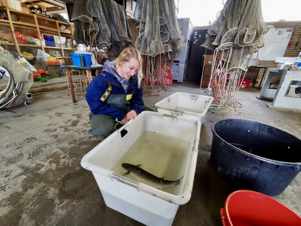 Ocean Tracking Network tweet media