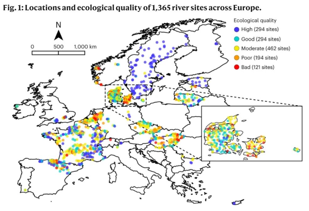 NatureEcoEvo's tweet photo. Multi-decadal improvements in the ecological quality of European rivers are not consistently reflected in biodiversity metrics https://t.co/TcupDcziOu https://t.co/j4Y6e7Hdig