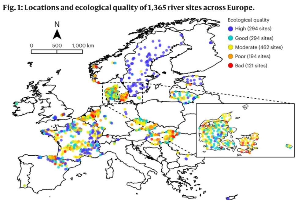 Multi-decadal improvements in the ecological quality of European rivers are not consistently reflected in biodiversity metrics rdcu.be/dwY71