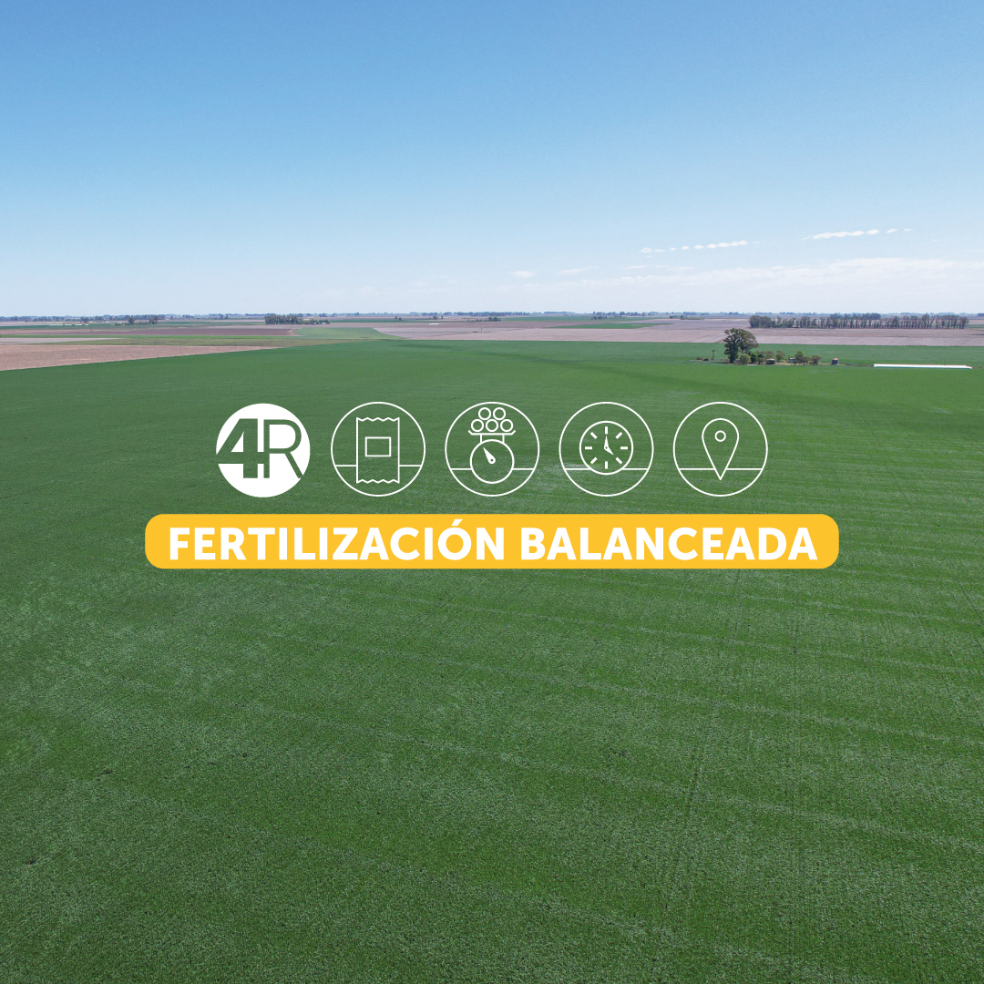 ProfertilAgro's tweet photo. Los cultivos demandan diferente cantidad y tipo de nutrientes a lo largo de su ciclo de desarrollo 🌱🌽. Para decidir el mejor momento de fertilización debemos conocer la disponibilidad de nutrientes en el suelo 🙌¡Hacé análisis de suelo! #4R #sostenibilidad https://t.co/3B73wmWXJd