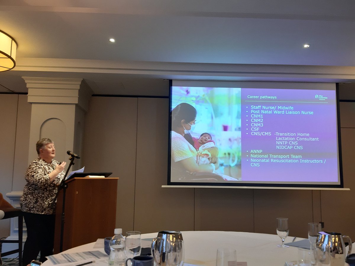 Ann Mac Intyre highlighting the importance of education in the  career pathways of neonatal nurses and midwives
