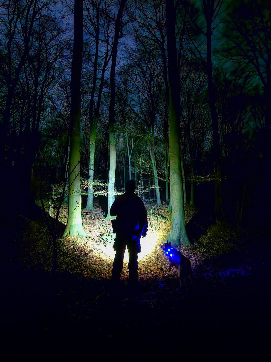 Search Dogs Zak & Rusty tweet media