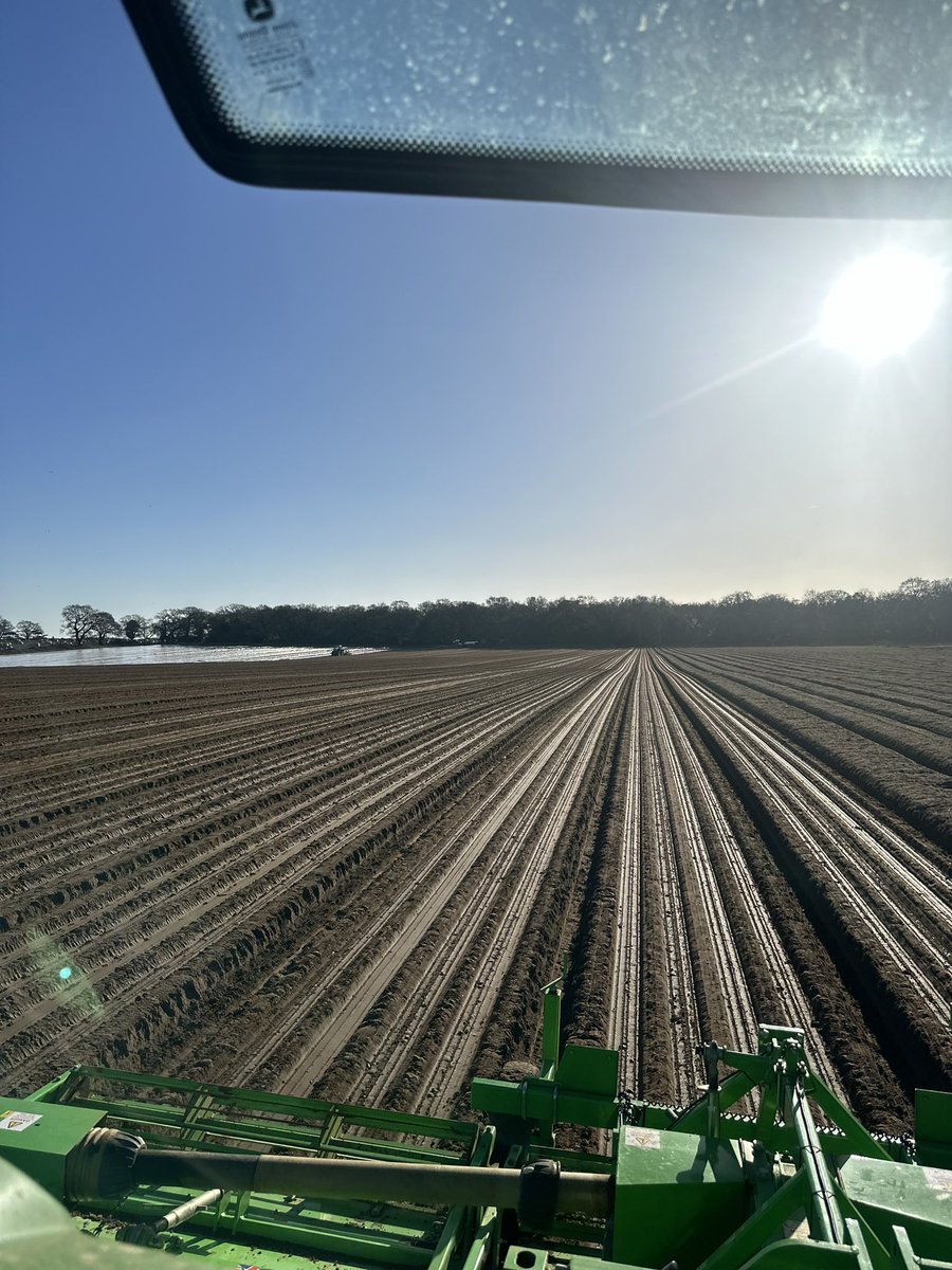 Plenty more of this weather please ☀️ 💨 👌🏻🤞🏻<a href="/WantisdenHallFa/">WantisdenHallFarms</a>