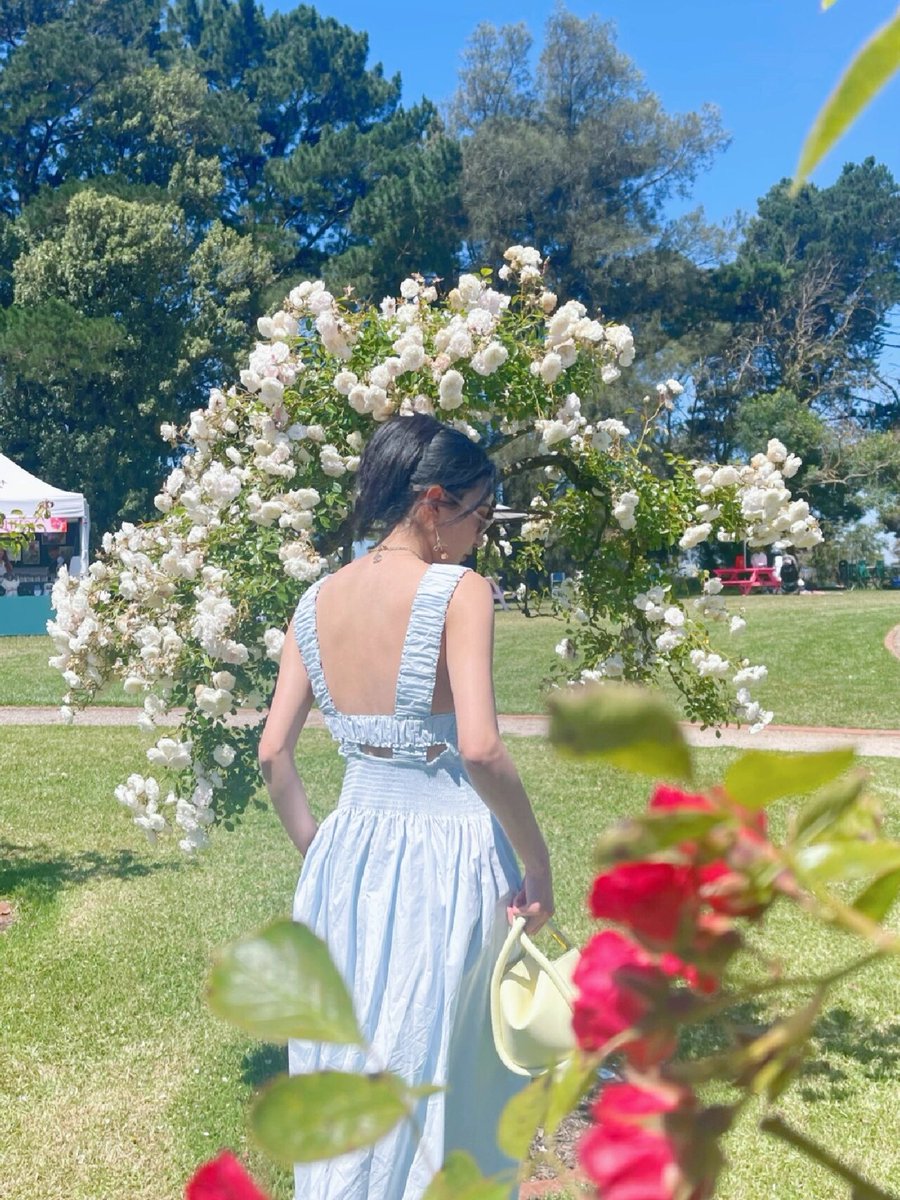 Rose Garden🌹