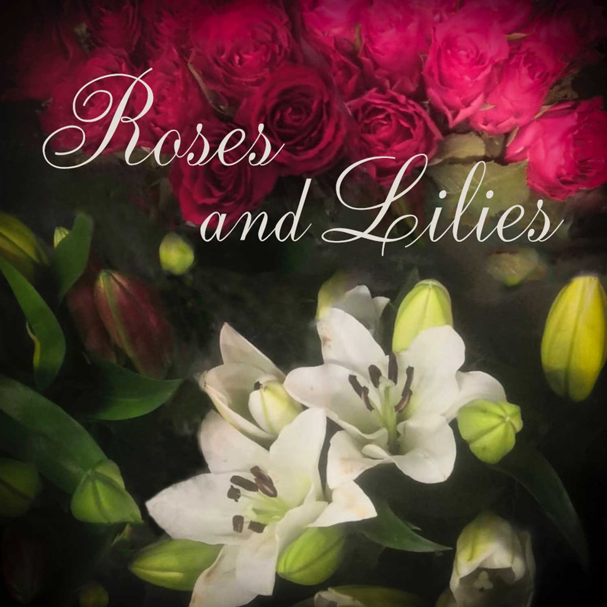 New album, 'Roses And Lilies' out today.
Listen now at: grahambodenham.bandcamp.com

Or Spotify: distrokid.com/hyperfollow/gr… 

 Order CD: gbaudio.co.uk/graham

#rosesandlilies #newlp #newrecord #newalbum #grahambodenham #EdinburghMusicScene #Edinburgh #ScottishMusic #singersongwriter