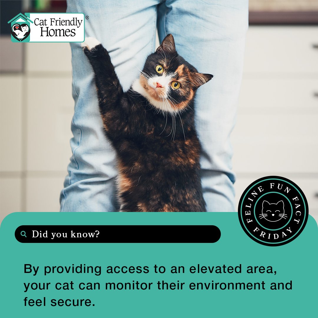 Your cat’s physical and emotional needs are essential to a high quality of life. One way to address these needs is to have elevated spaces. Learn more at bit.ly/2RFmBT7. 

#FelineFunFactFriday #CatFriendlyHomes #FelineFriendly
