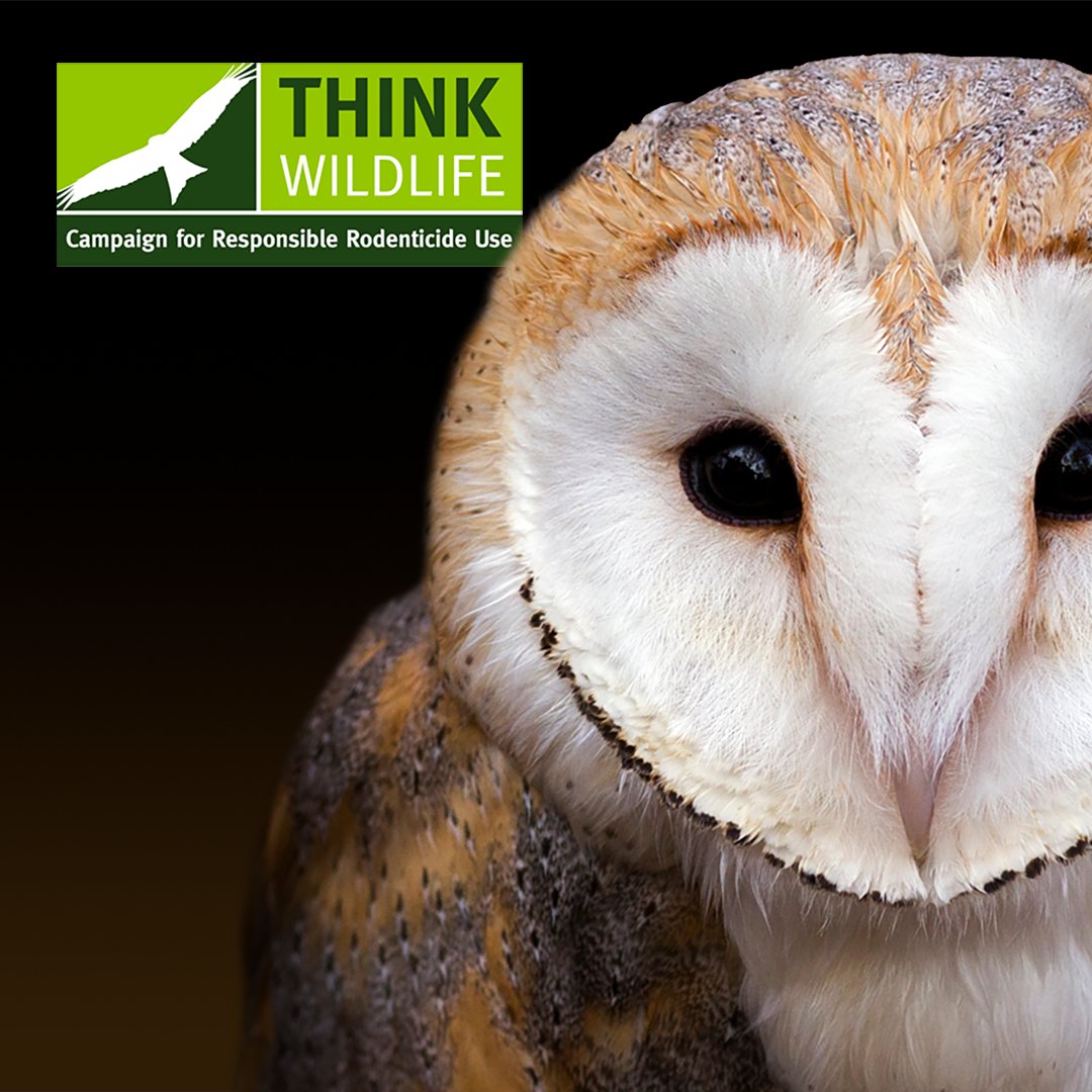 PestControlNews's tweet photo. CRRU UK - Twelve Years of Moniroring Barn Owl Breeding

To read more, visit - https://t.co/w5SHGbXtQh https://t.co/s1NONnAUO7