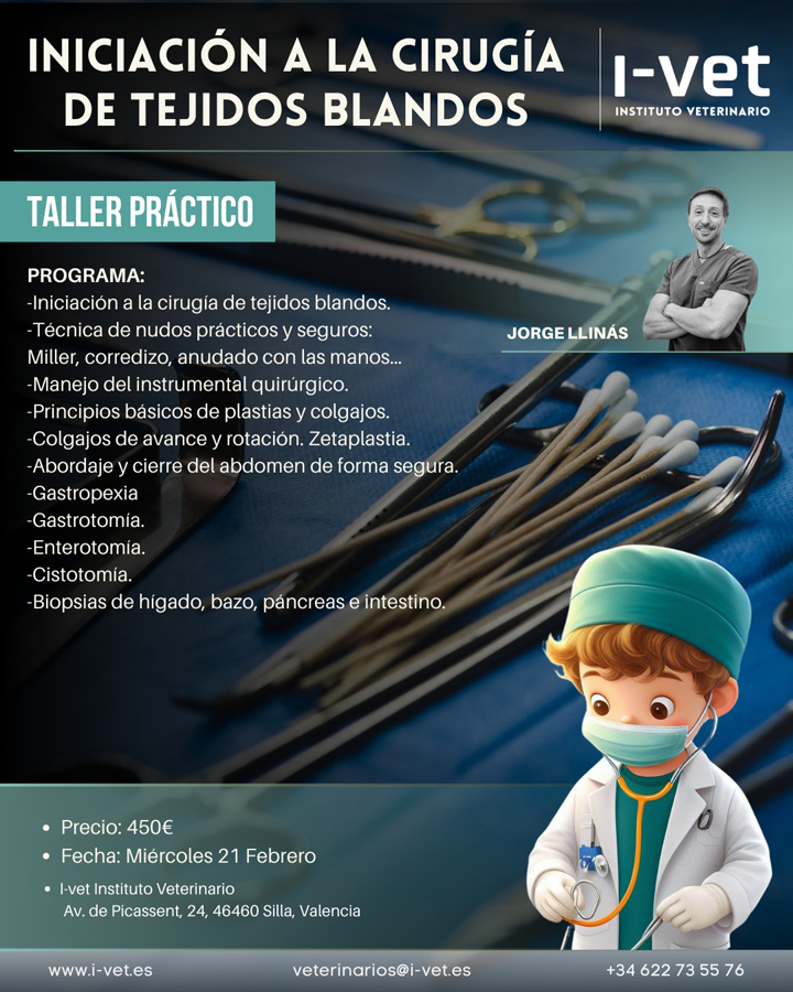 Nuzoa (@nuzoa_) on Twitter photo 📅 El 2̲1̲ ̲d̲e̲ ̲f̲e̲b̲r̲e̲r̲o̲ tendrá lugar el Taller Práctico "Iniciación a la Cirugía de Tejidos Blandos" en I-Vet Instituto Veterinario
Regístrate en:
i-vet.es/formacion-para…
📩 veterinarios@i-vet.es 📱 622 735 576
#SomosNuzoa #Formacion #Cirugia #Veterinaria #ATVs #ACVs 📅 El 2̲1̲ ̲d̲e̲ ̲f̲e̲b̲r̲e̲r̲o̲ tendrá lugar el Taller Práctico "Iniciación a la Cirugía de Tejidos Blandos" en I-Vet Instituto Veterinario
Regístrate en:
i-vet.es/formacion-para…
📩 veterinarios@i-vet.es 📱 622 735 576
#SomosNuzoa #Formacion #Cirugia #Veterinaria #ATVs #ACVs