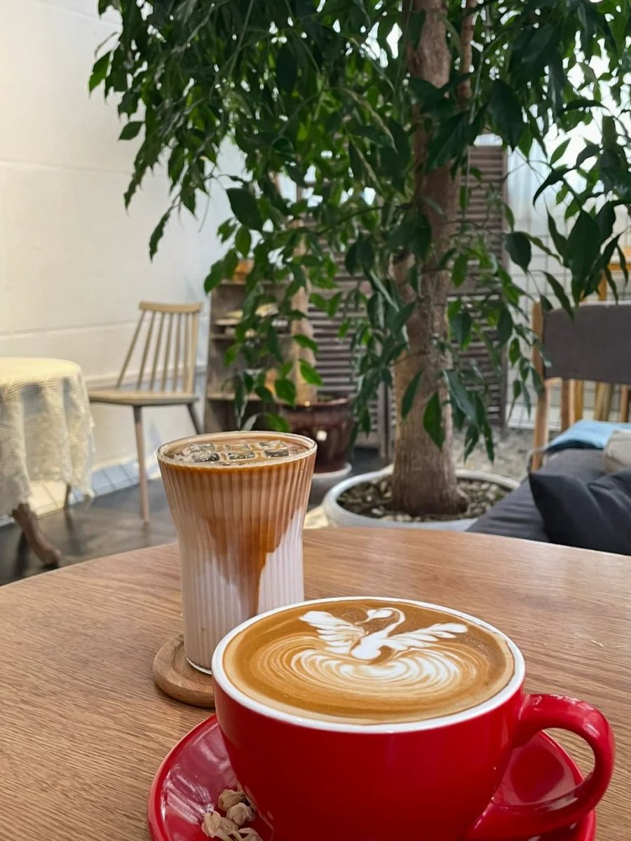 A cup of coffee in the morning can remove the tiredness of the whole day...🙂🥰