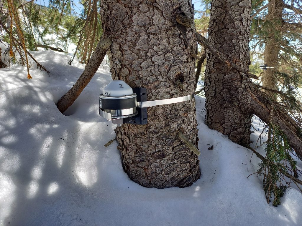 Jelena Lange tweet media