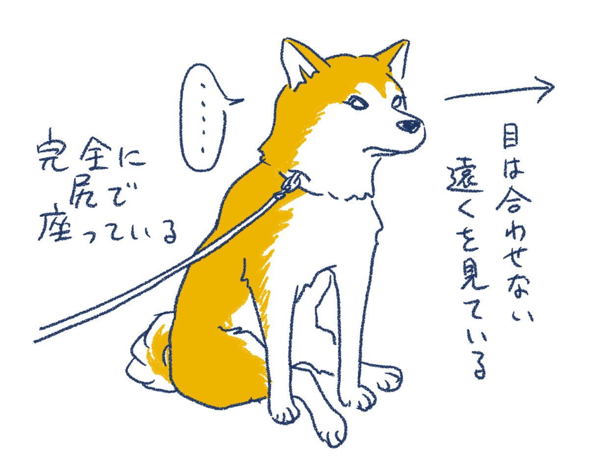散歩中に動かなくなったときはだいたいこれ。 
