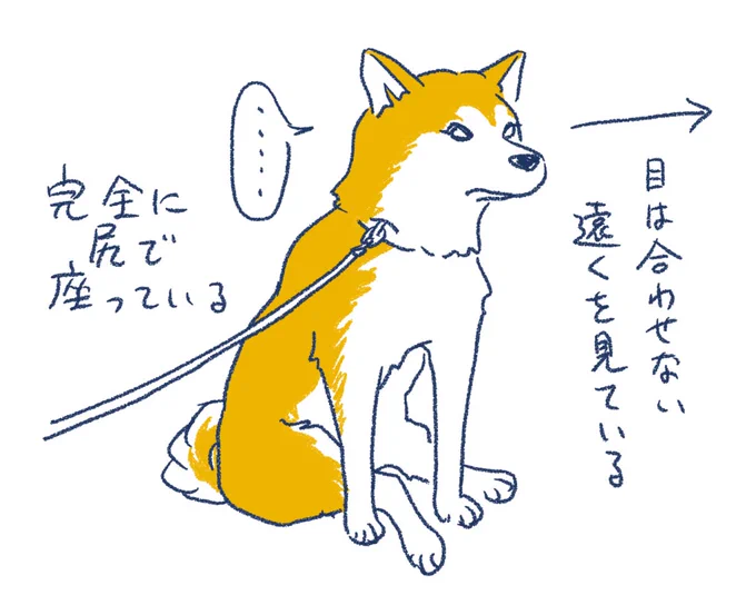 散歩中に動かなくなったときはだいたいこれ。 