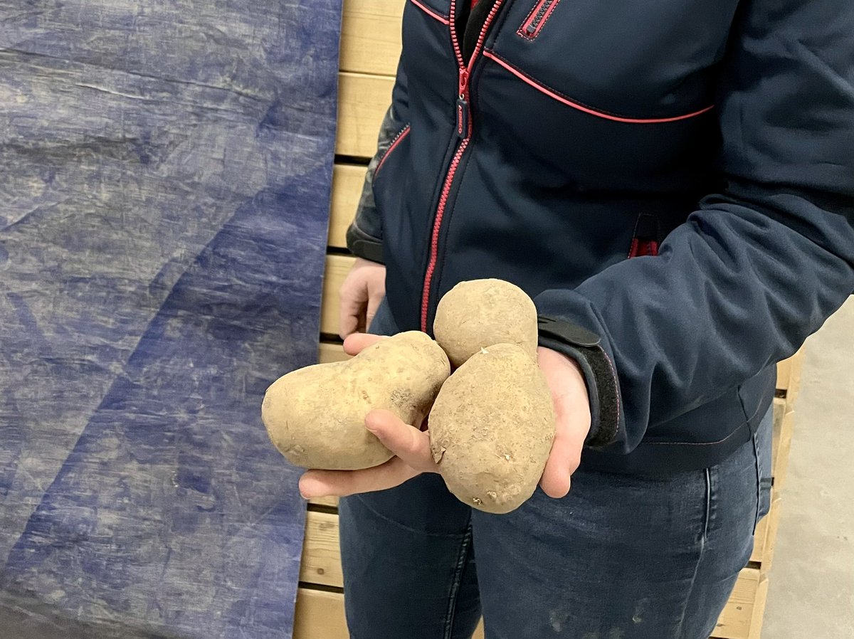 André Hoogendijk tweet media