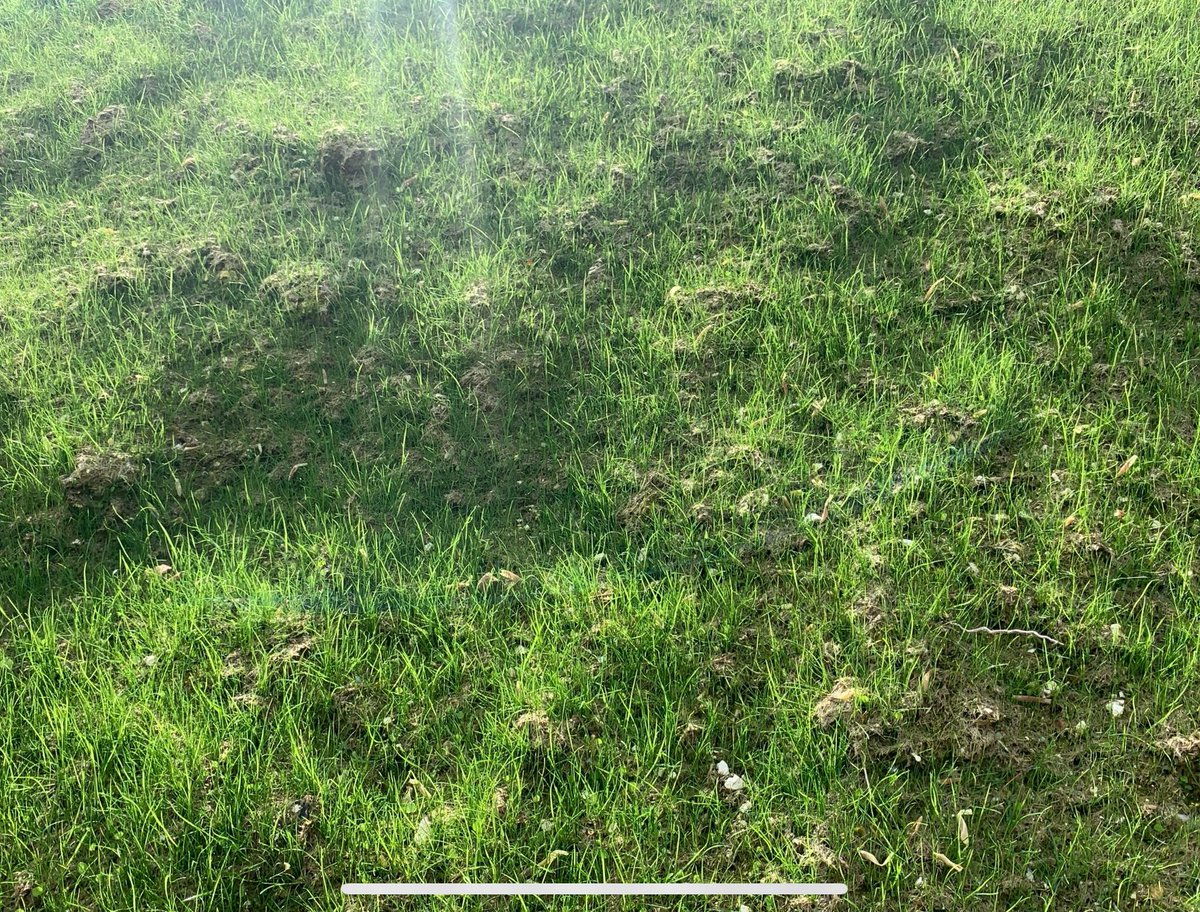 Hydroseeding's tweet photo. Last April our client asked if we could vegetate a freshly cut chalk bank. Within just a couple of months the barren slope was fully covered with grass #hydroseeded #erosioncontrol https://t.co/yOkMlHtakk