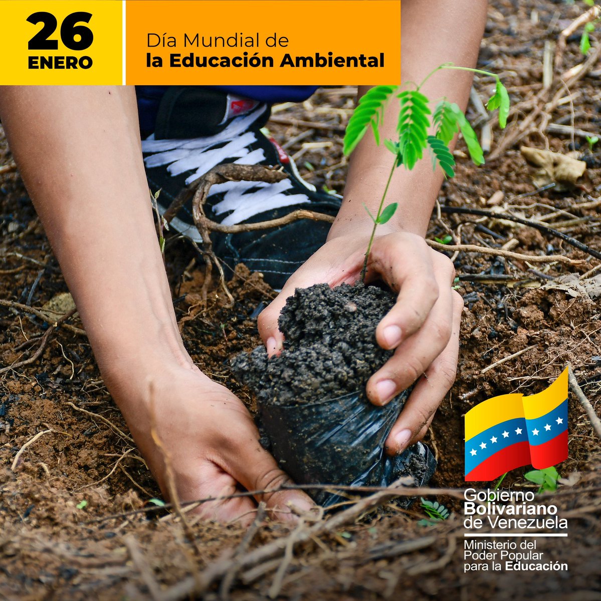 ¡Por amor a la naturaleza!

Cuidamos a nuestra madre tierra. Por eso, desde las escuelas y comunidades de Venezuela creamos conciencia para su preservación y el uso adecuado de los recursos del medio ambiente.
#VenezuelaIndetenible 
<a href="/NicolasMaduro/">Nicolás Maduro</a> 
<a href="/_LaAvanzadora/">Yelitze Santaella</a> 
@MPPEDUCACION