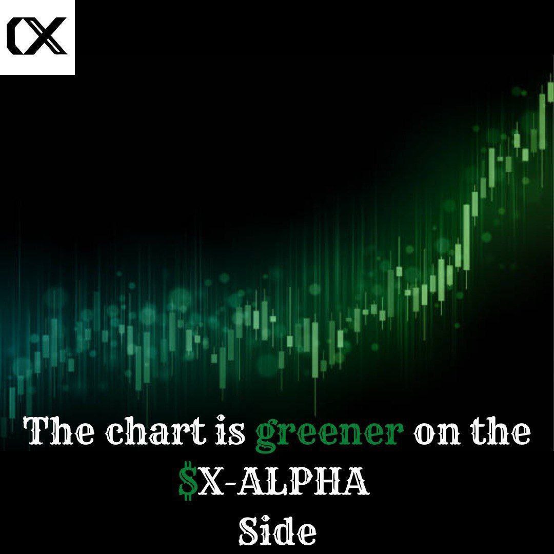 Mimi_Crypt's tweet photo. @Ralvero Explore new horizons with $XALPHA! Navigate through X and uncover real-time project analytics effortlessly. Elevate your trading game with unmatched efficiency. #Crypto #Analytics 📊💎

Join us now!

https://t.co/Eu0lot2WCZ https://t.co/zrBN3nGXNy
