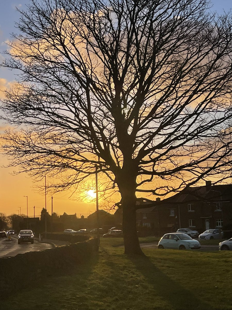 gvhawtin's tweet photo. This mornings walk with Willow #sunrise #MoveForMind @doddie_aid https://t.co/xkJikfKOXw