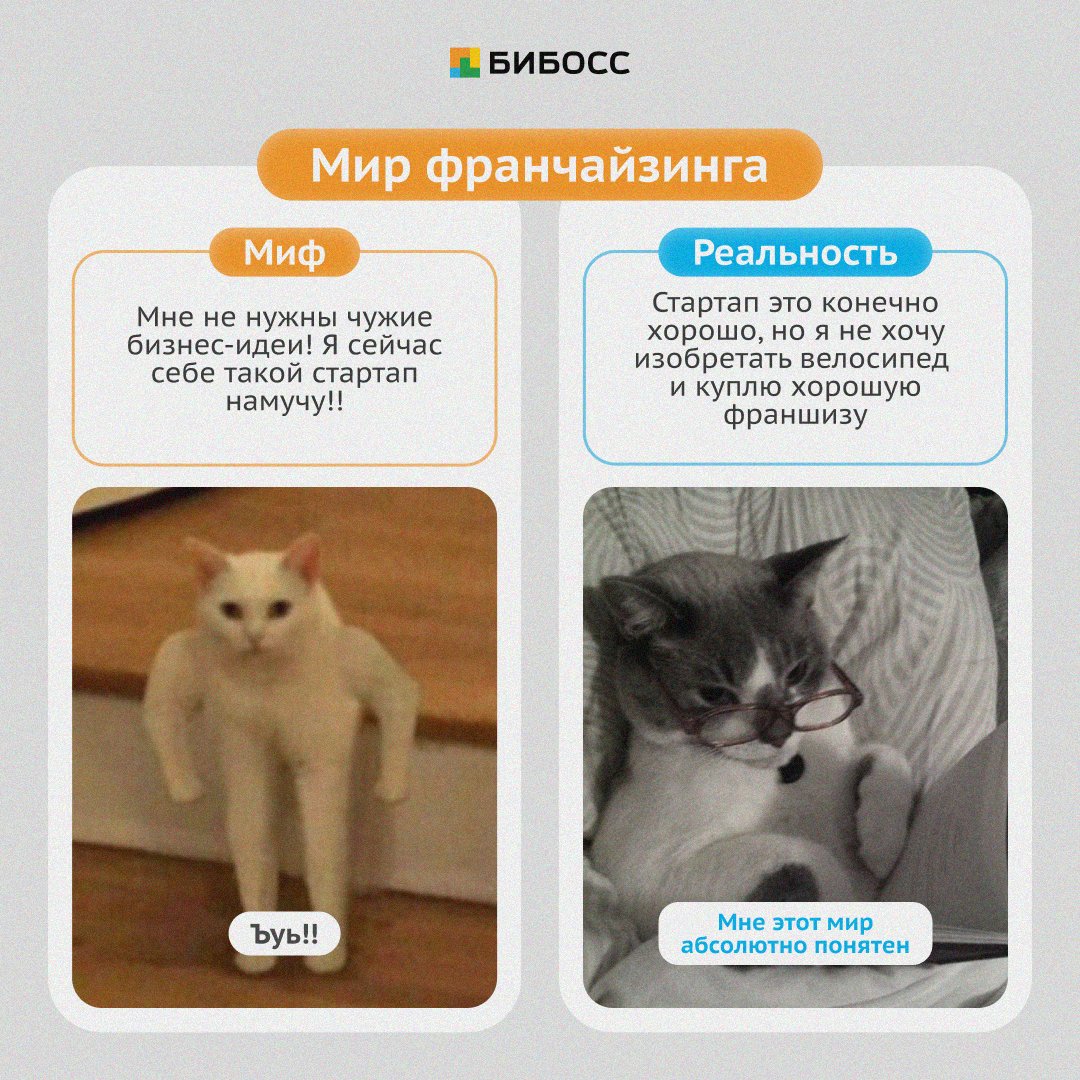 BeBossNews's tweet photo. Миф или реальность?

Где-то между мифами о безграничном богатстве и страхом перед сложностями ̶л̶е̶ж̶а̶т̶ ̶м̶е̶м̶ы̶ лежит реальный мир франчайзинга. https://t.co/p5gn7c5beV