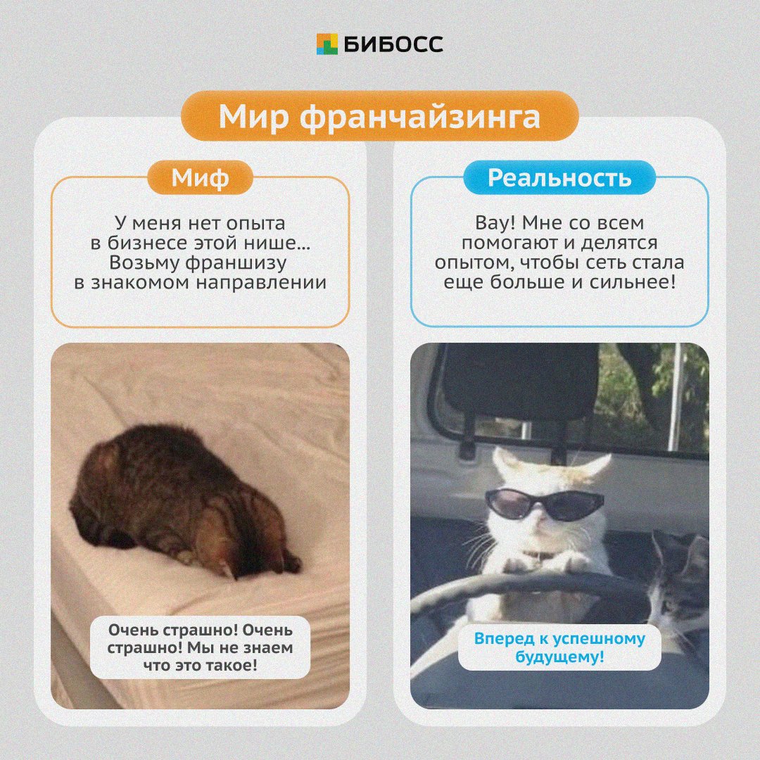 BeBossNews's tweet photo. Миф или реальность?

Где-то между мифами о безграничном богатстве и страхом перед сложностями ̶л̶е̶ж̶а̶т̶ ̶м̶е̶м̶ы̶ лежит реальный мир франчайзинга. https://t.co/p5gn7c5beV
