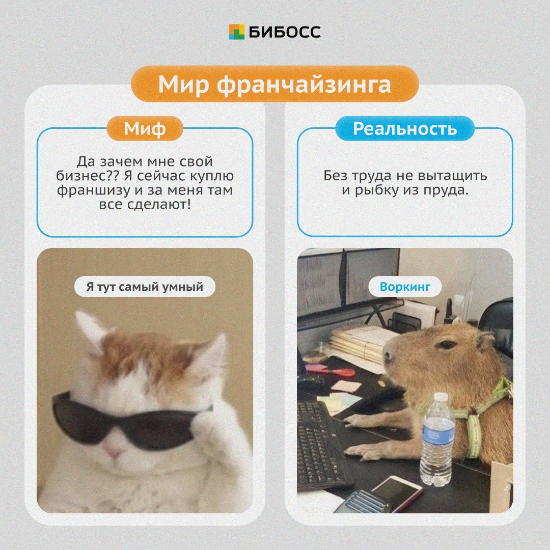 BeBossNews's tweet photo. Миф или реальность?

Где-то между мифами о безграничном богатстве и страхом перед сложностями ̶л̶е̶ж̶а̶т̶ ̶м̶е̶м̶ы̶ лежит реальный мир франчайзинга. https://t.co/p5gn7c5beV