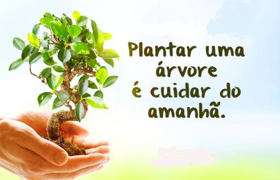 JTabw's tweet photo. O bem que queremos pra nós mesmo depende diretamente de nossas ações. Construção do Bosque Frutífero da #PraiaDaBrisa. Precisamos de você
mutiraobrisa@gmail.com
21 98148 7180 e 21 98213 2779

Praça Lahire de Abreu, #Guaratiba #RioDeJaneiro #RJ  Escola Municipal Bertha Lutz https://t.co/AFxTTwXFMr
