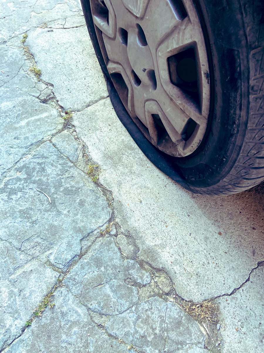 ursula_uchula's tweet photo. Hermoso viernes 🤦🏻‍♀️🥺 https://t.co/bWiGhZ8fEB