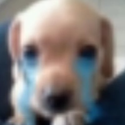 chrsIix_'s tweet photo. por preguntona https://t.co/2NJuIB0jq1