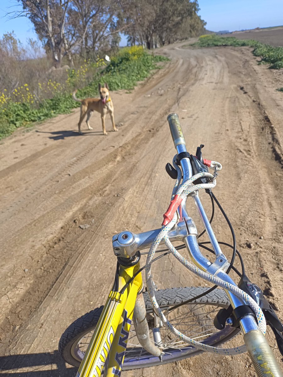 Las mañanas con Guti son muy guays 🐕‍🦺☀️🚴🏼‍♀️✌🏾