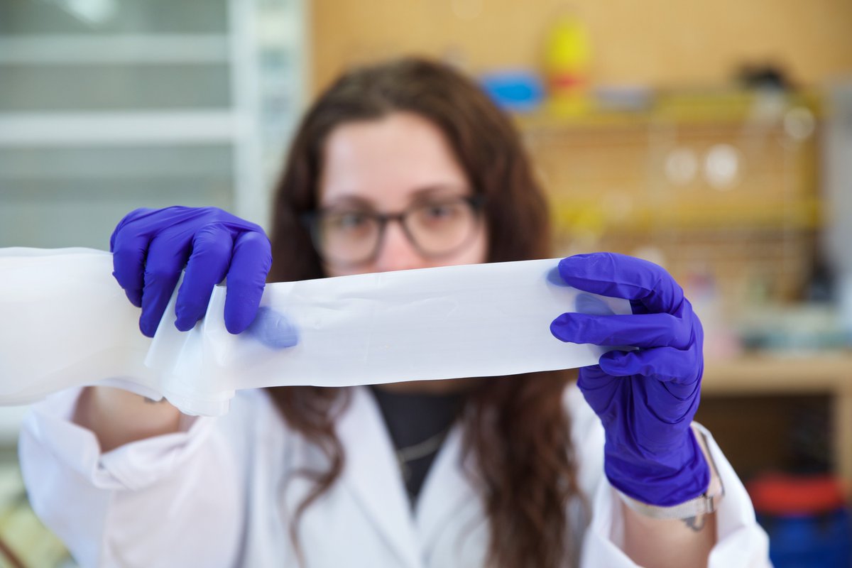 UA_Universidad's tweet photo. Un envase antioxidante, a partir de corazones de piña, que aumenta la vida útil de productos envasados 👏👏🍍
Investigadores del Departamento de Química Analítica, Nutrición y Bromatología de la UA han desarrollado este nuevo material.
Más info: https://t.co/GDRyHq4jXX
#valpipack https://t.co/gCfgMaT75w