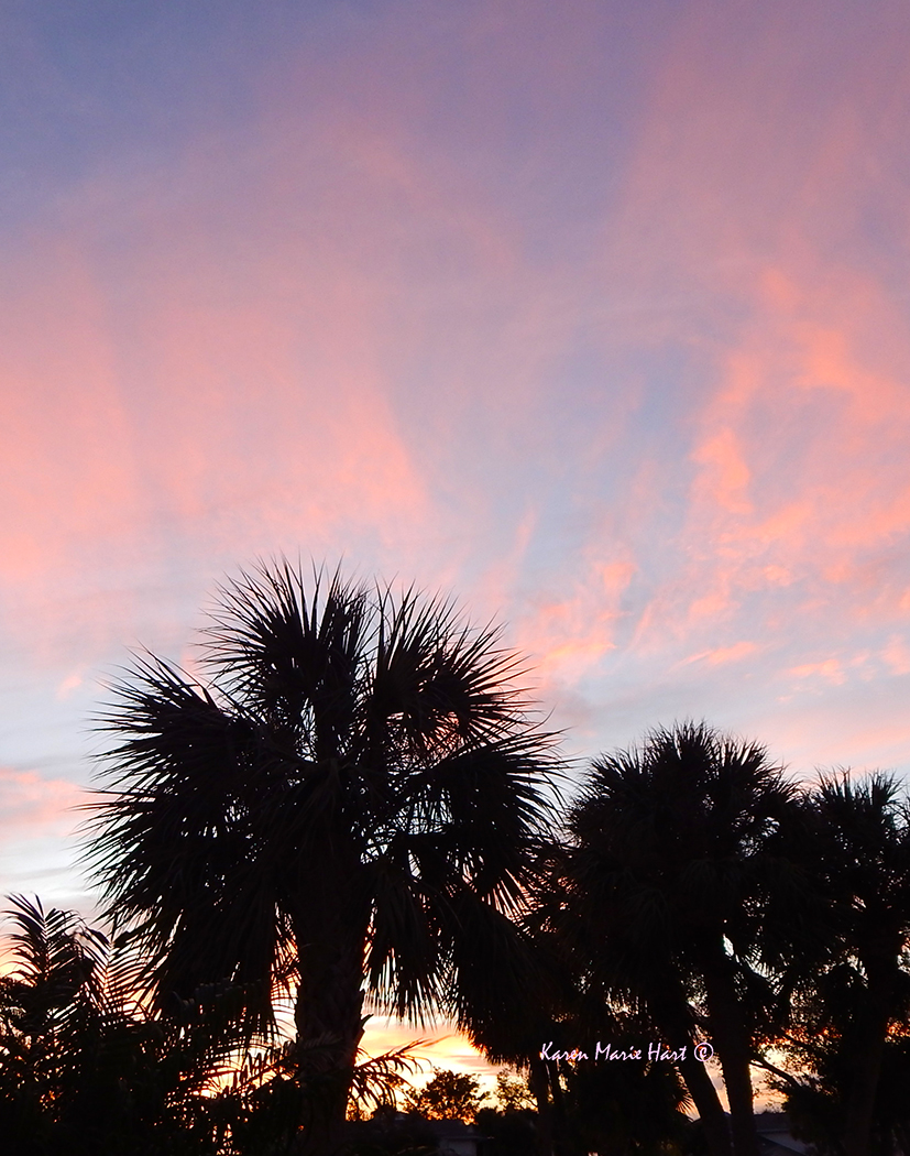 KarenMarieHart's tweet image. &quot;I see hearts.&quot; &quot;I see a dragon.&quot; &quot;I see a dog.&quot; &quot;I see the colors of lightning.&quot; &quot;I see love.&quot; &quot;I see protection.&quot; &quot;How long do we have to find things?&quot; &quot;Until we feel uplifted.&quot; &quot;I&apos;m good.&quot; &quot;Me, too.&quot; &quot;I love you.&quot; 💋🧜‍♀️💞🕊️ #RiseandShine #FridayVibes #PinkSky 🩷