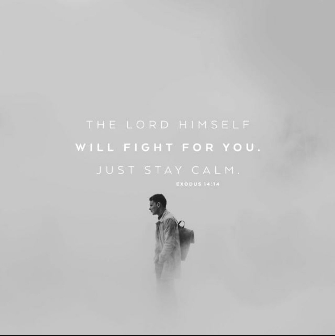 Be still and know He is God! OVER EVERY SITUATION! For He fights all our battles! And NEVER HAS HE LOST ONCE! NEVER!
#ChristisKing #forGodforcountry