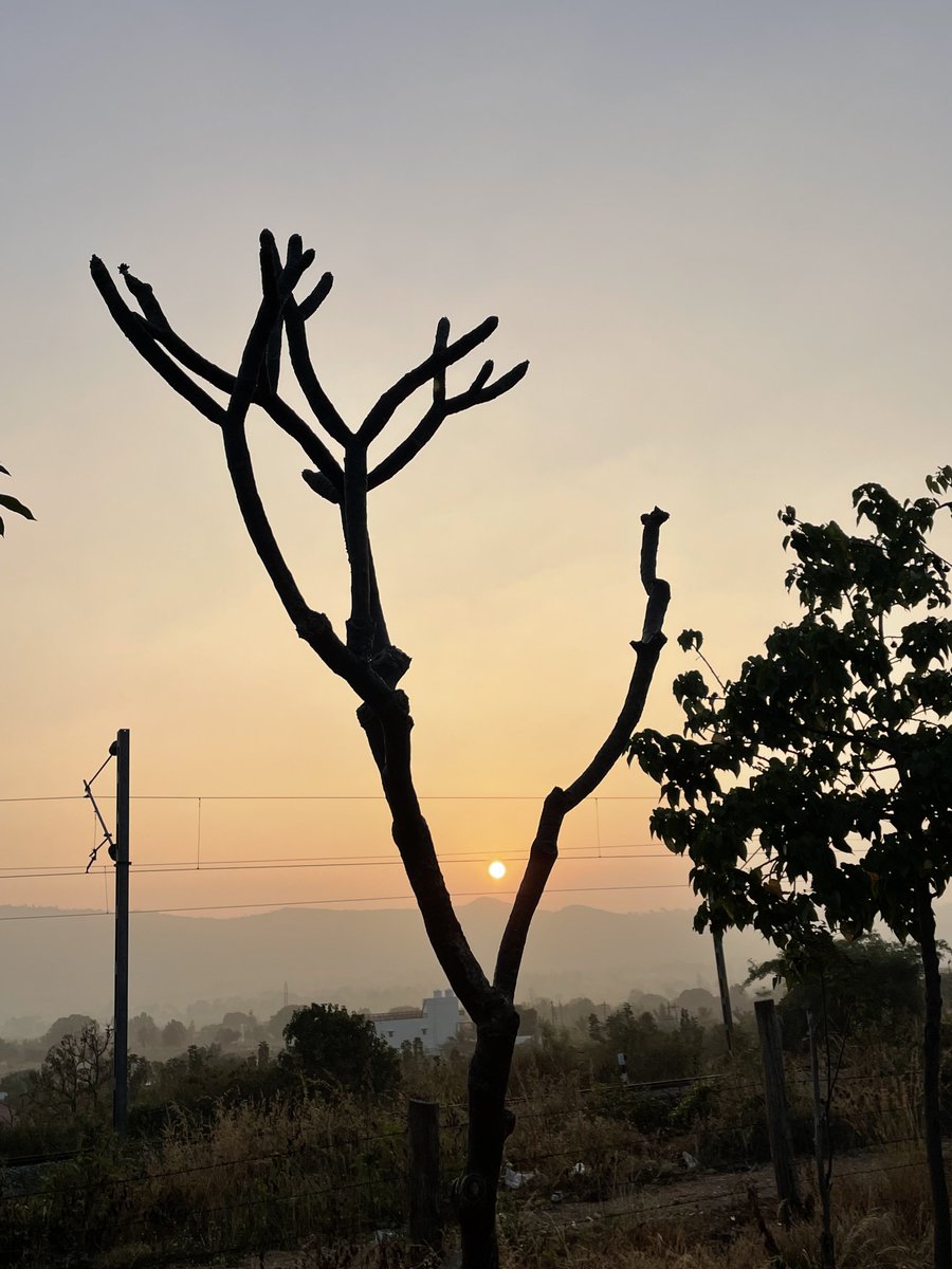 trollpwnde's tweet photo. Makalidurga is such an amazing place! A beautiful dry rocky habitat with stunning lush green trees and dry grass! The trek during the sunrise was cherry on the top! Sharing some photos from phone😬 #Makalidurga https://t.co/5L4SxXYsy0