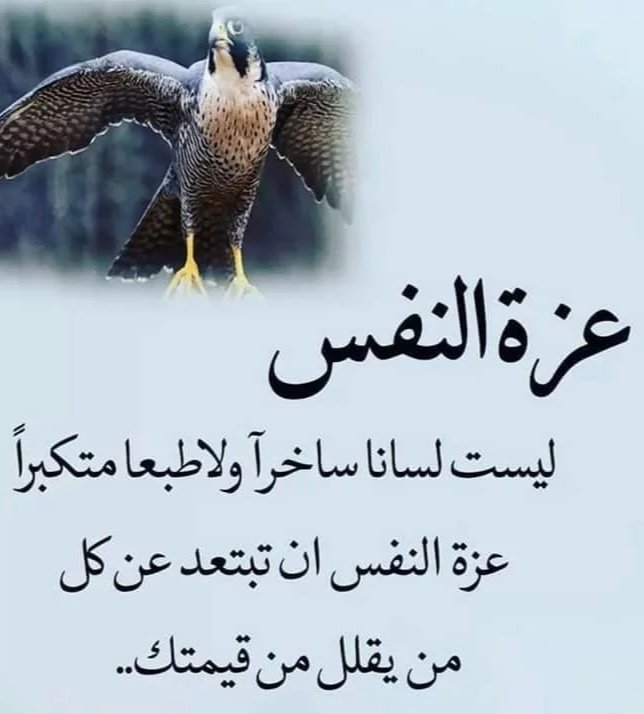 "القوة ليست أن تكون قوي الجسد..
 بل ان تكون قوي التحمل، قوي التحكم والتجاوز، قويًا بالصبر على المصائب وعدم الاستسلام، قويًا في الاستغناء عن أي شيءٍ يقلل من قدرك.."