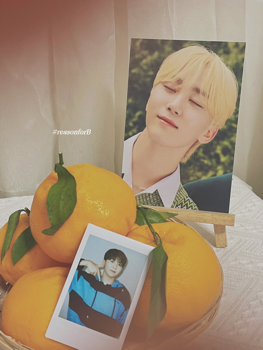 reasonforBOO's tweet photo. We’re preparing…. 🍊🧸🫧

Can’t wait to see you on tomorrow !! 
관랑해 🫶🏻

#reasonforB https://t.co/j6NjG03erd