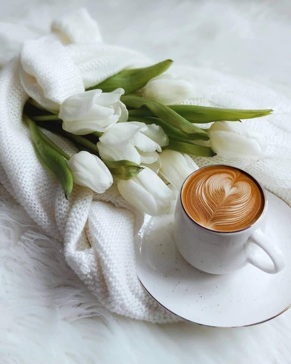 mari53718266's tweet photo. Good morning everyone 🤍☕️ https://t.co/hGbe3gNU6t