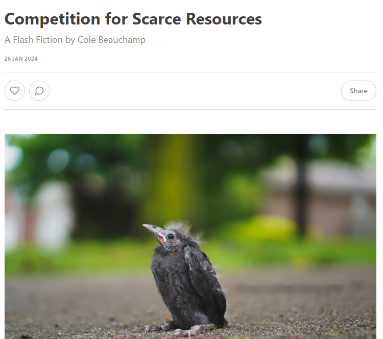 cole beauchamp 🏳️🌈 (@nomad_sw18) on Twitter photo Thrilled to come 3rd in the #WestWordPrize with my flash "Competition for Scarce Resources."
I've been mulling on this story for ages. First wrote it on #SmokelongAfterglow Elizabeth Ingram Wallace in 2022, w feedback from <a href="/ClaudiaMonpere/">Claudia Monpere</a> <a href="/avitusbcarle/">Avitus B. Carle (she/her)</a>
westword.substack.com/p/competition-… Thrilled to come 3rd in the #WestWordPrize with my flash "Competition for Scarce Resources."
I've been mulling on this story for ages. First wrote it on #SmokelongAfterglow Elizabeth Ingram Wallace in 2022, w feedback from <a href="/ClaudiaMonpere/">Claudia Monpere</a> <a href="/avitusbcarle/">Avitus B. Carle (she/her)</a>
westword.substack.com/p/competition-…