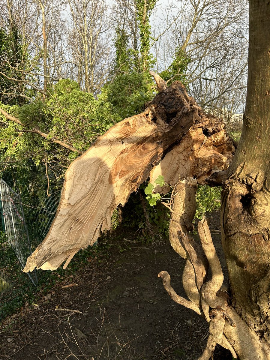 Airfield Estate tweet media