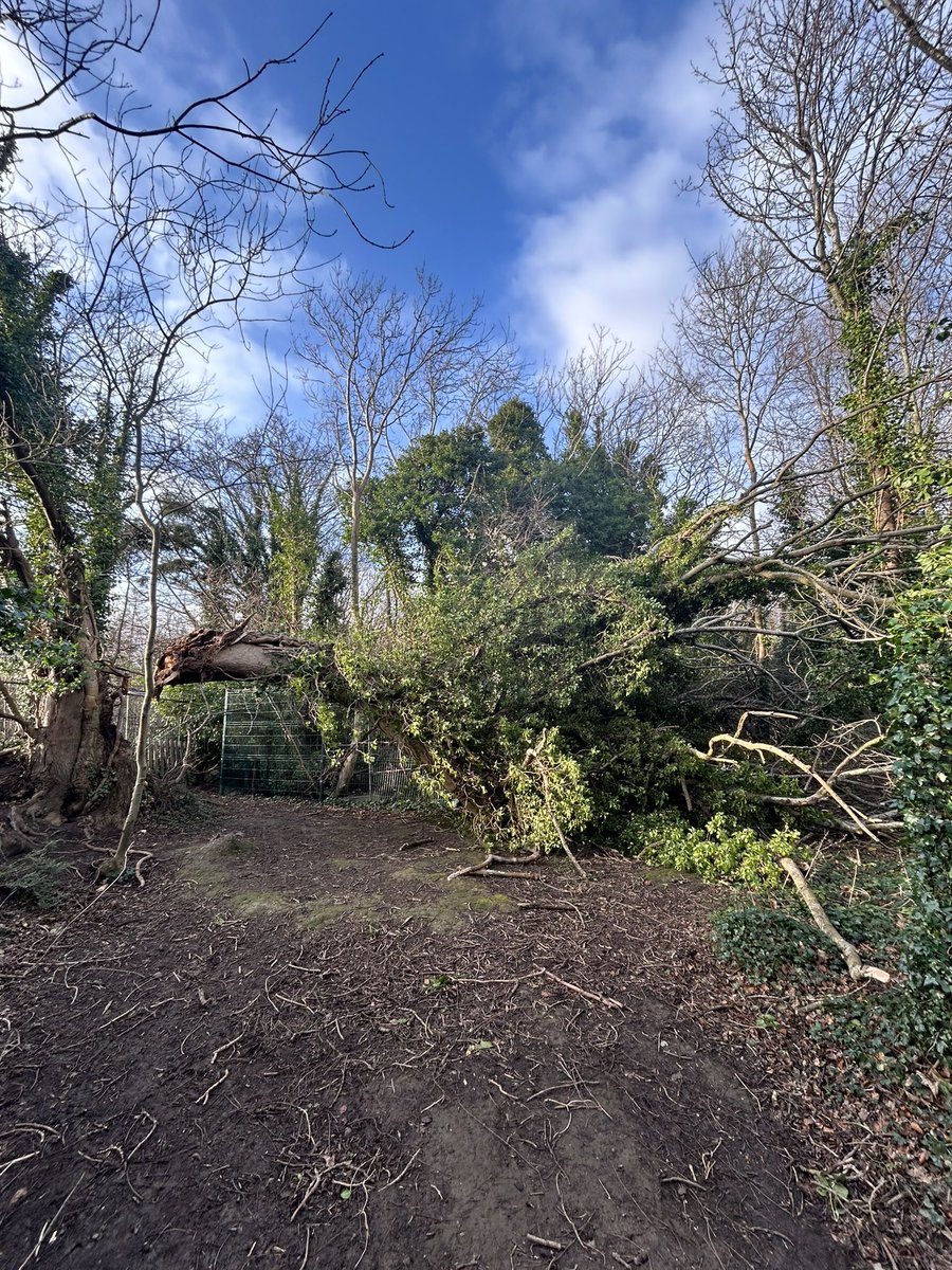 Airfield Estate tweet media