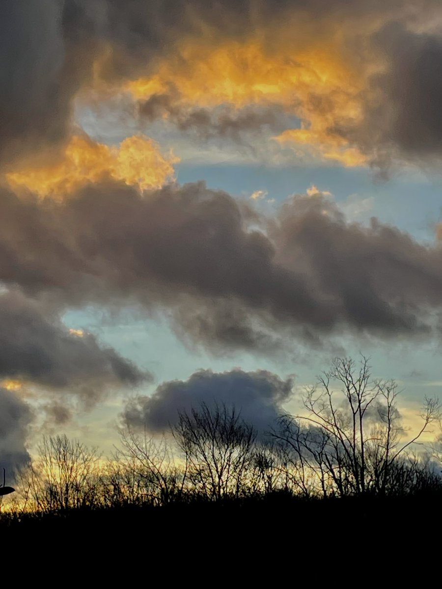 mpicsb's tweet image. GM!