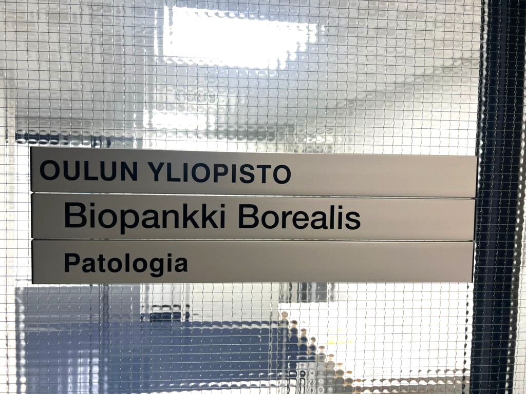 AugPath's tweet photo. Thrilled to report a fantastic visit to #Biobank Borealis of Northern #Finland for @heap_exposome WP7. Productive discussions with Scientific Director @RaisaSerpi, the amazing #biobank team &amp; our esteemed colleague @kuivaluoto 
#HEAP #H2020 #exposomeresearch https://t.co/mr4sxipRaM