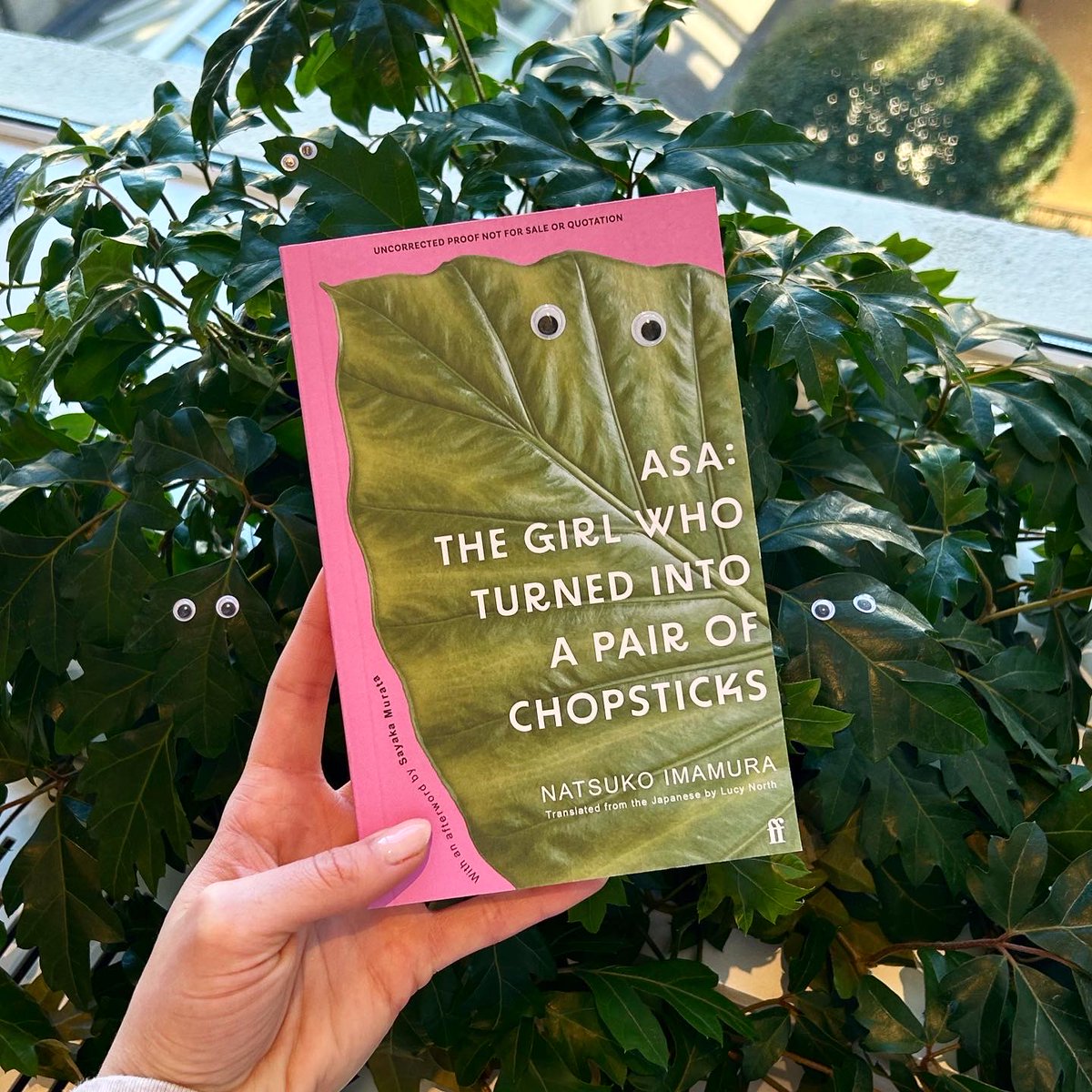 Advance proofs of the startling first collection of stories from Natsuko Imamura are catching our eye today 👀 Asa: The Girl Who Turned into a Pair of Chopsticks is translated from the Japanese by @japanonmymind and out in paperback this June. Cover design by Robbie Porter.