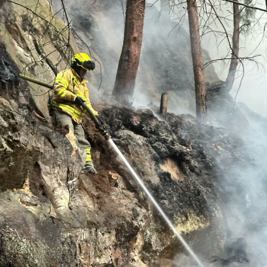 BomberosBogota's tweet photo. ¡No nos detenemos! Durante toda la noche hemos estado trabajando para controlar las llamas presentes en el cerro El Cable. 

Nuestros bomberos, junto a las demás entidades de emergencias, seguirán luchando contra el fuego 🔥

#IncendioCerros #IncendioForestal #cerrosorientales https://t.co/BSenZQAjkc