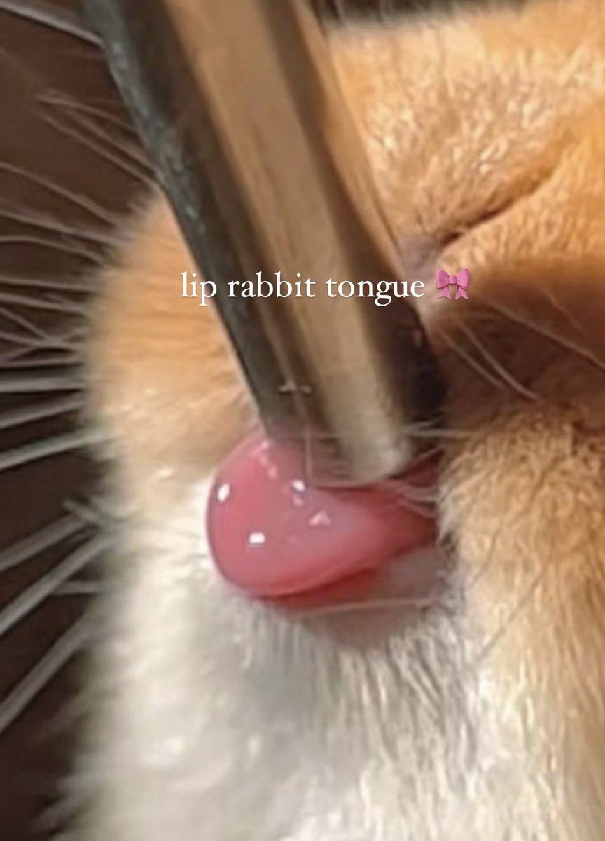 mmytype_'s tweet photo. รวมลิปเทรน lip rabbit tongue 🎀🌟
สีลิปโทนลิ้นกระต่าย mlbbน่ารักกก https://t.co/tCqRPirfky