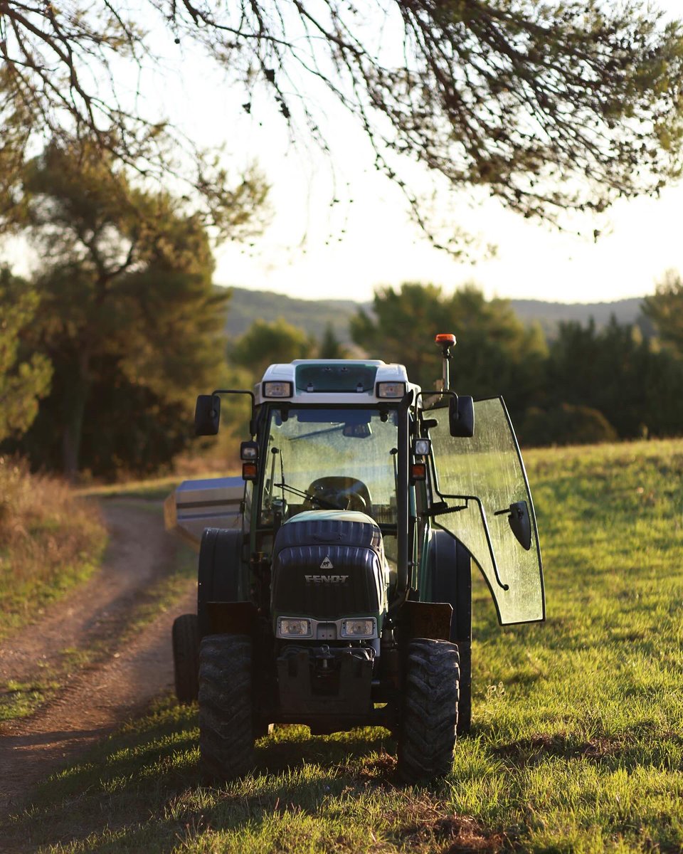 Morgane Le Breton tweet media