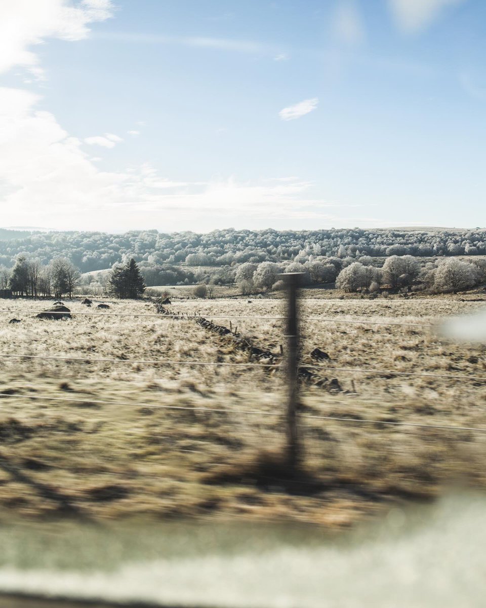 Morgane Le Breton tweet media